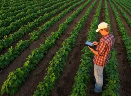 Gestão de Agronegócios