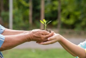 o que e direito ambiental nocoes basicas e principios 1 O que é direito ambiental: noções básicas e princípios