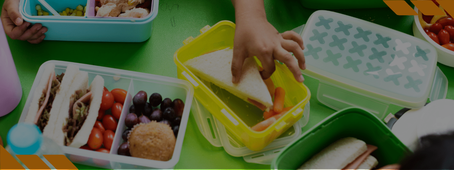 Alimentação Escolar