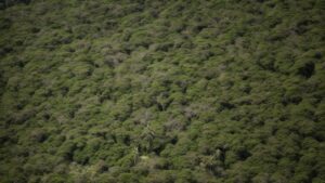 Ilustração representando a evolução da administração pública no Brasil entre patrimonialismo, burocracia e gerencialismo