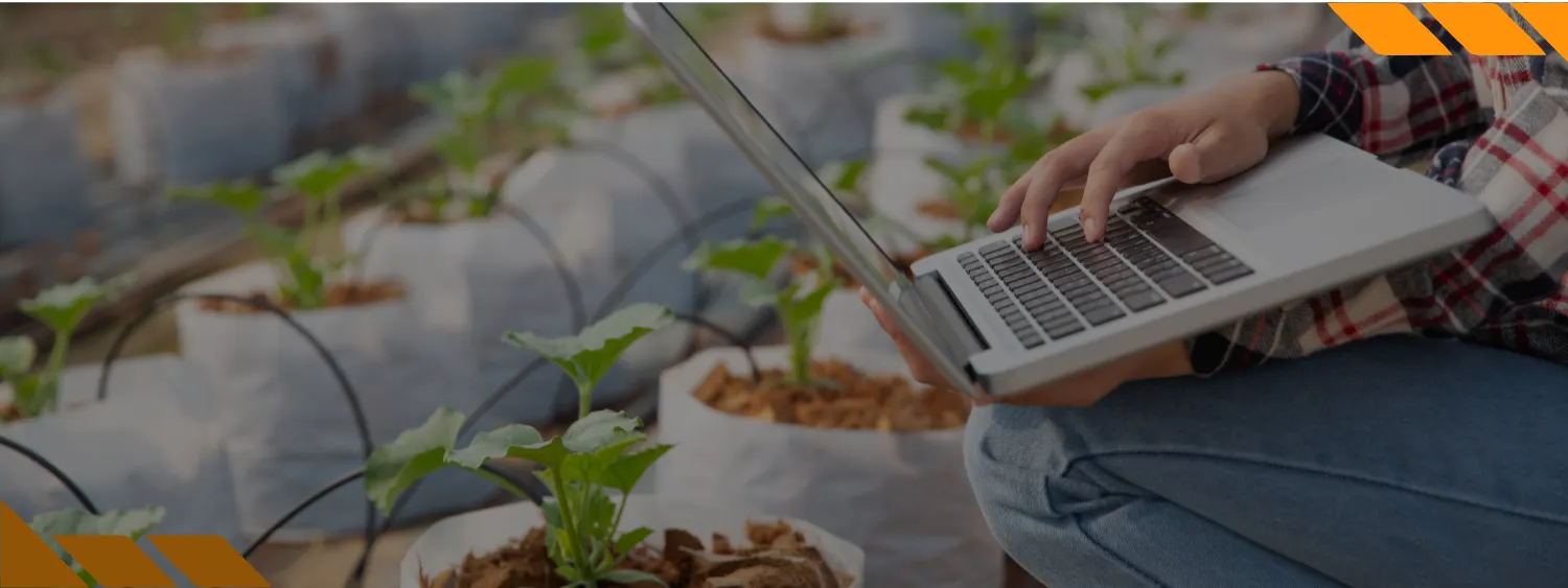 Gestão de Agronegócios