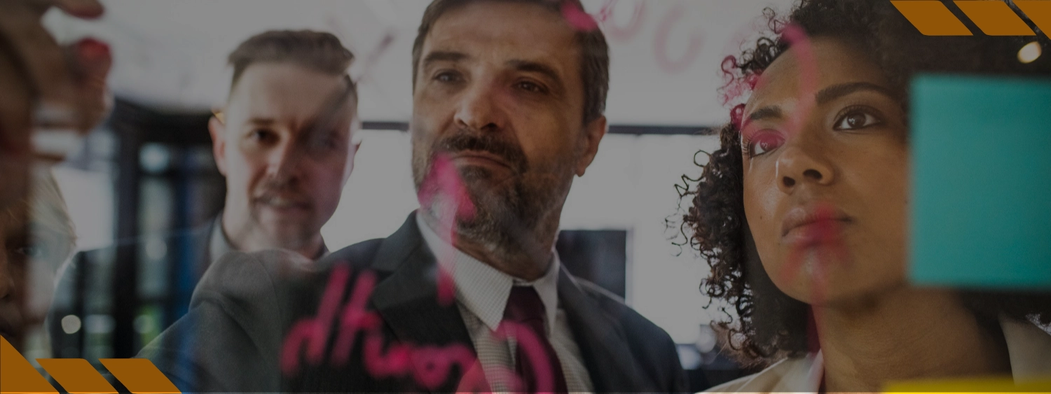 Gestão de Políticas Públicas em Gênero e Raça