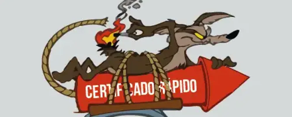 00i_coyote_rapido-02-1