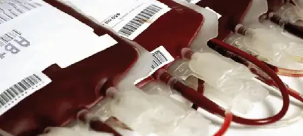 00i_doacao_blood-02-1