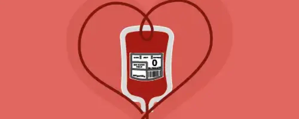 00i_doacao_sangue-02-1