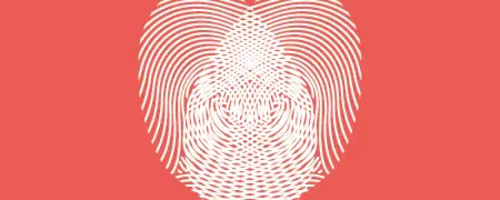 00i_doe_medula2-02-1