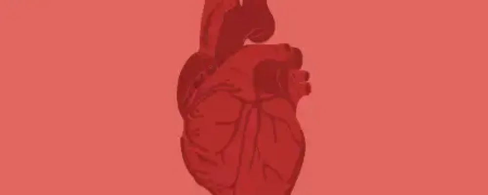 00i_hipertensao2-02-1