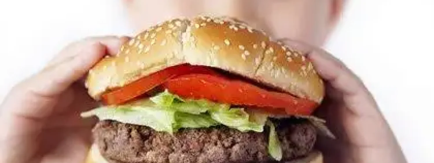 20170413131431obesidade-infantil