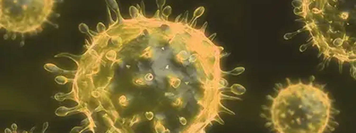 20170921173459virus 20170921173459virus