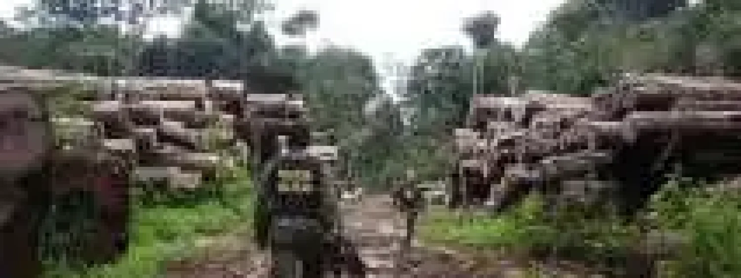 202b6fd13d6898a3c8f01f04d50b5e80