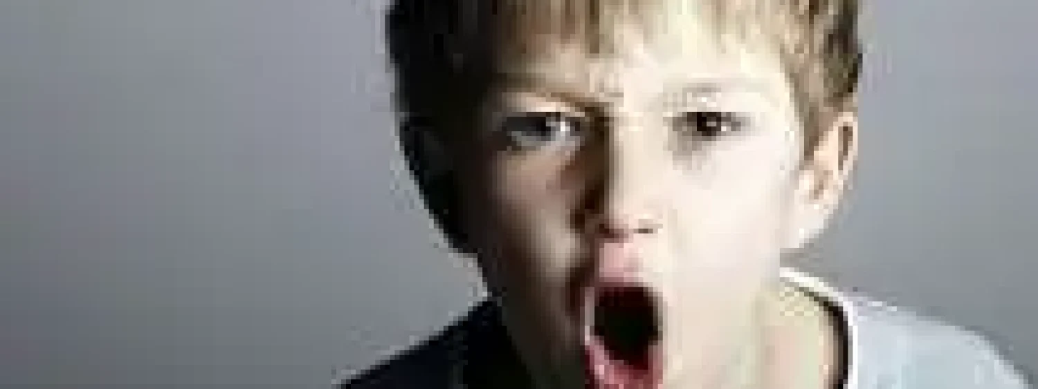 26bd2240630b1b4ae428f3ba8aea8b85