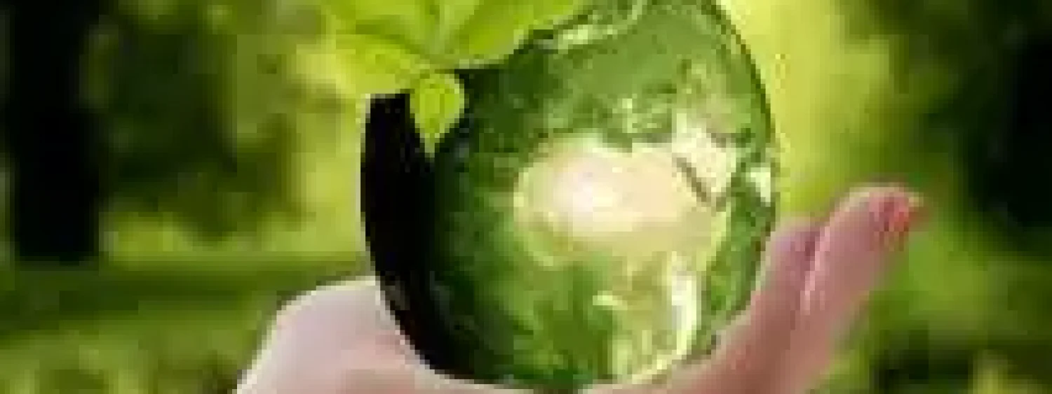 541acc7657f28da10acf2407680b33fa