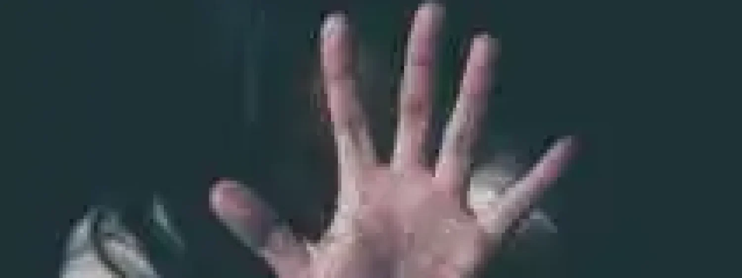 54d26cbdf7fc045fa15b9a947ba05e20