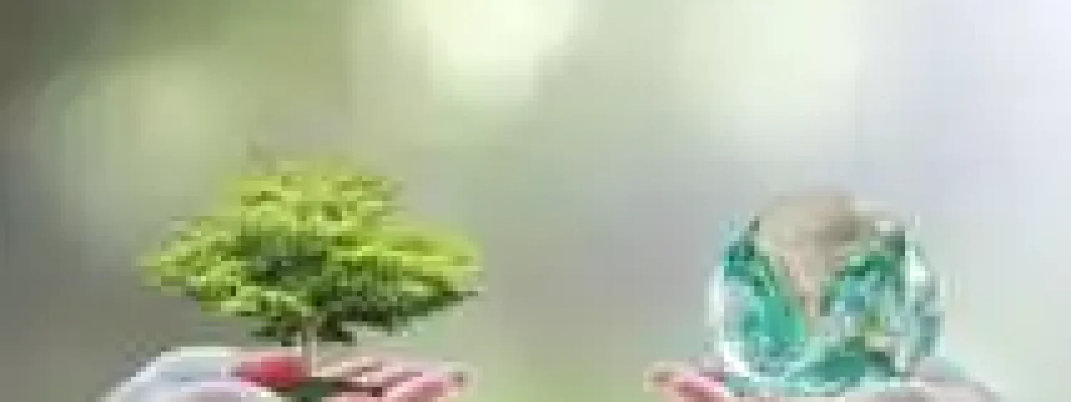 7e8f44650643a2faaadc29133fd4a5c0 7e8f44650643a2faaadc29133fd4a5c0