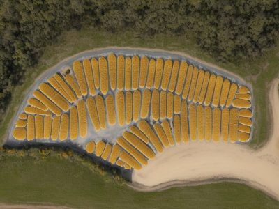 Imagem mostrando o método Braille em ação, com materiais pedagógicos e livros, promovendo a alfabetização e inclusão para deficientes visuais