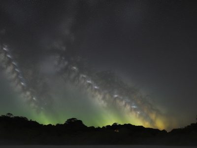 Servidor público aprendendo sobre biotecnologia em curso online para especialização.