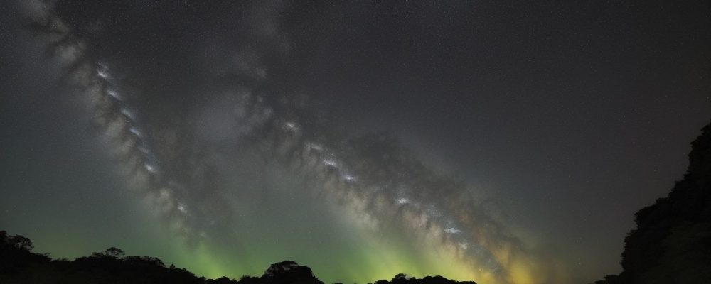 Servidor público aprendendo sobre biotecnologia em curso online para especialização.
