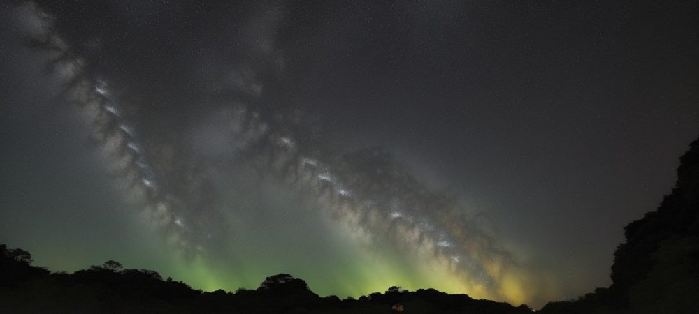 Servidor público aprendendo sobre biotecnologia em curso online para especialização.