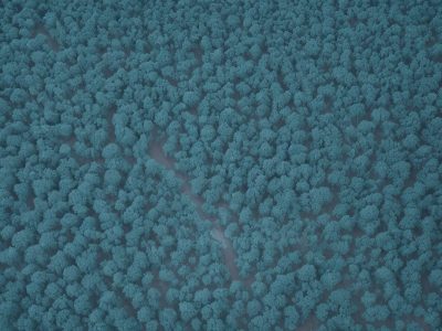 Representação visual das consequências dos crimes contra a administração pública e a ética no serviço público.