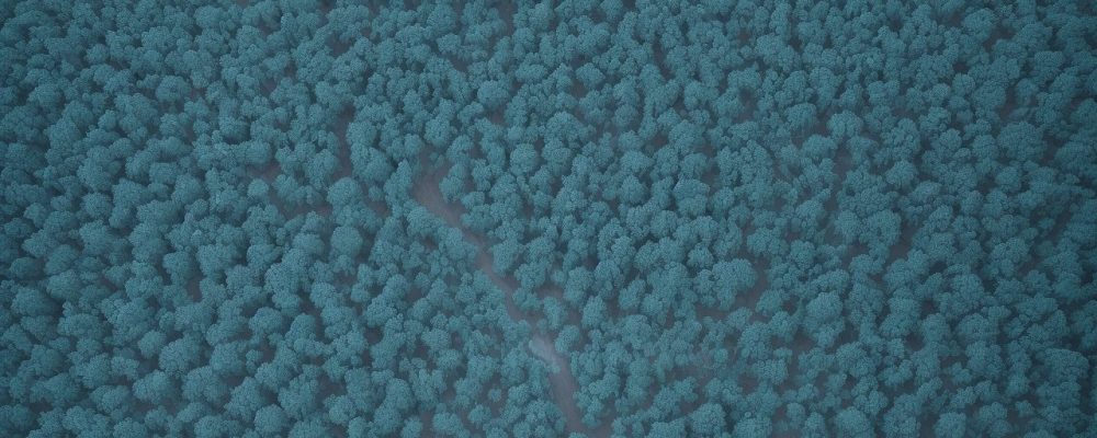 Representação visual das consequências dos crimes contra a administração pública e a ética no serviço público.