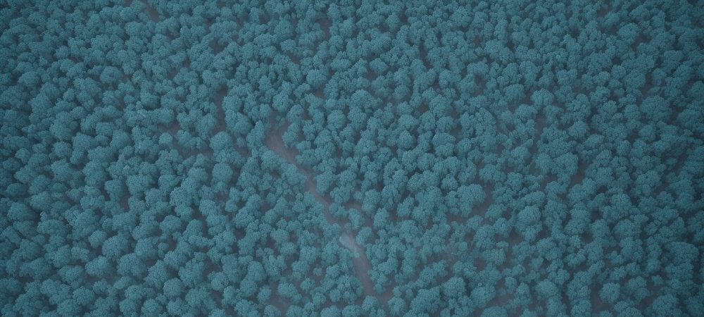 Representação visual das consequências dos crimes contra a administração pública e a ética no serviço público.