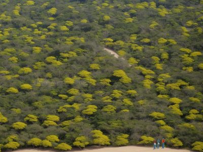 Imagem ilustrativa sobre deficiência física, mostrando a importância da acessibilidade e inclusão na sociedade, destacando direitos e a lei brasileira de inclusão.
