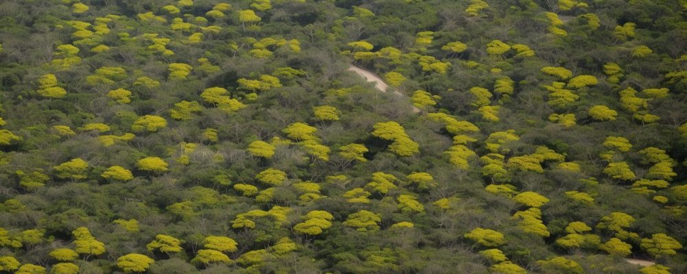 Imagem ilustrativa sobre deficiência física, mostrando a importância da acessibilidade e inclusão na sociedade, destacando direitos e a lei brasileira de inclusão.