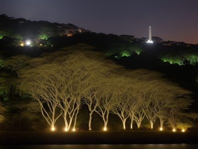 Imagem de um advogado consultando o Estatuto da OAB, simbolizando a ética e o conhecimento jurídico.