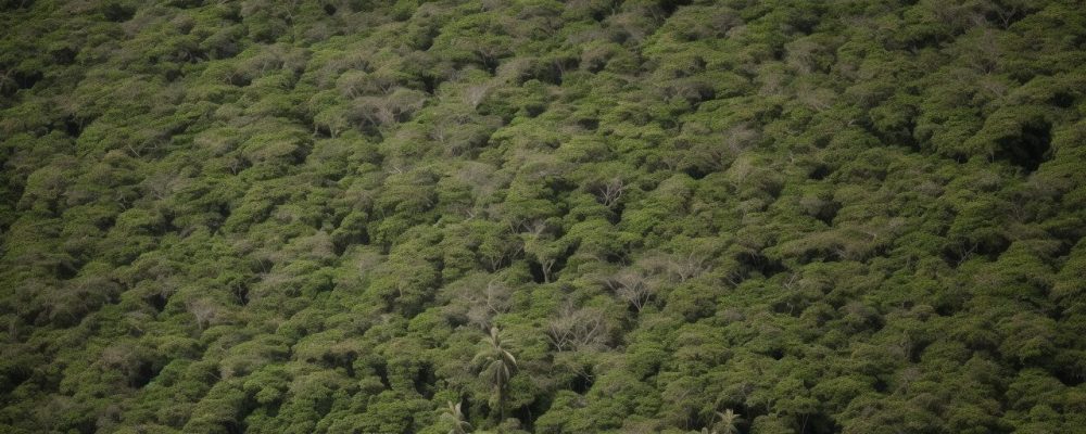 Ilustração representando a evolução da administração pública no Brasil entre patrimonialismo, burocracia e gerencialismo