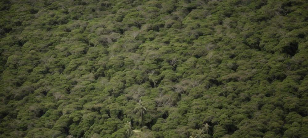 Ilustração representando a evolução da administração pública no Brasil entre patrimonialismo, burocracia e gerencialismo