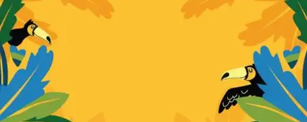 Historia-do-brasil3-3-1