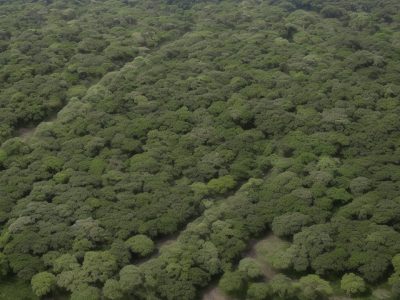 Ambiente corporativo com colaboradores participando de uma sessão interativa de pedagogia empresarial