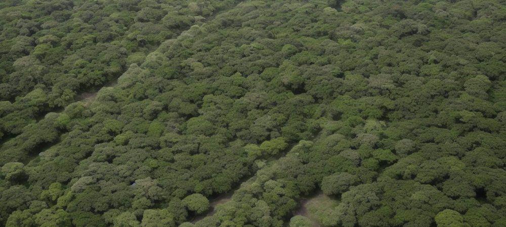 Ambiente corporativo com colaboradores participando de uma sessão interativa de pedagogia empresarial