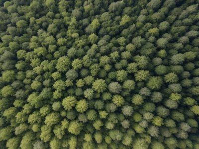 Cenário de empresa adotando práticas sustentáveis e gestão ambiental eficaz