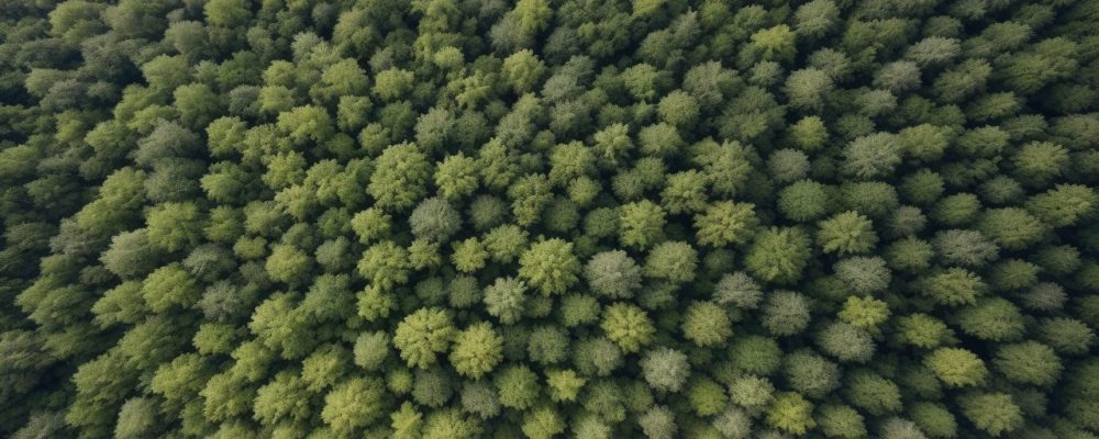 Cenário de empresa adotando práticas sustentáveis e gestão ambiental eficaz