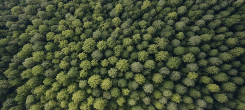 Cenário de empresa adotando práticas sustentáveis e gestão ambiental eficaz
