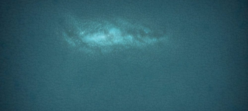 Visão de servidores públicos discutindo aplicação de inteligência estratégica e análise de dados em um ambiente colaborativo.