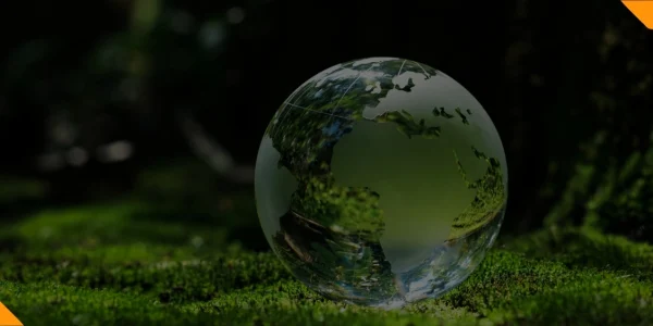 NOVOS CURSOS PLATAFORMA (420 × 310 px) (1140 × 400 px) (16)-compressed