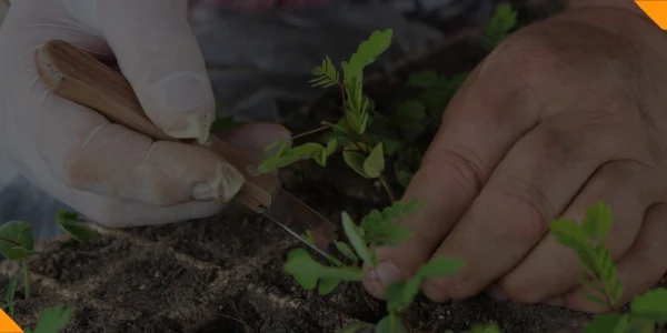 Nova capa de curso (1140 × 400 px) (1)-compressed