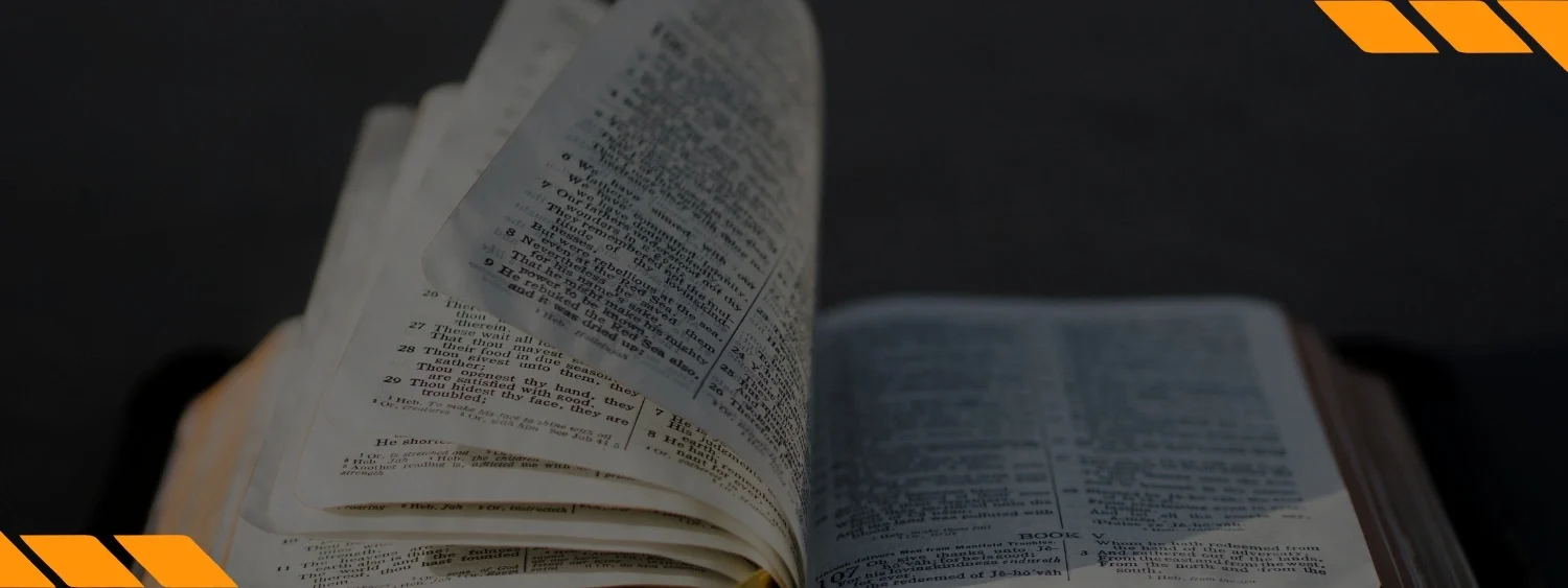 Nova capa de curso (1140 × 400 px) (2)-compressed