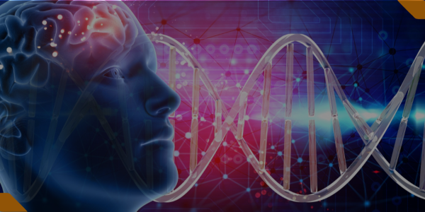 Nova capa de curso (1140 × 400 px) (22)