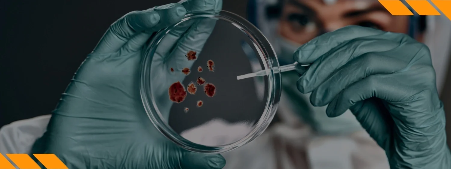 Nova capa de curso (1140 × 400 px) (26)-compressed