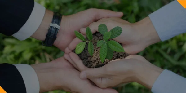 Nova capa de curso (1140 × 400 px) (43)-compressed