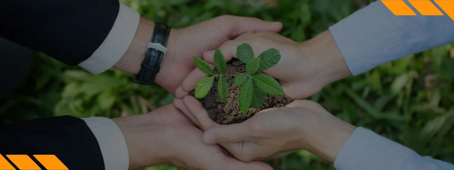 Nova capa de curso (1140 × 400 px) (43)-compressed