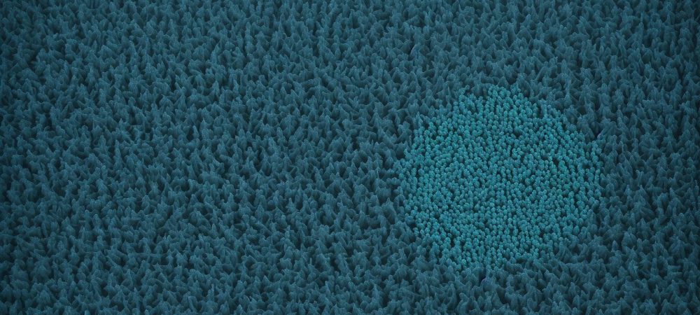 Representação visual da pesquisa de clima organizacional em ação, com pessoas interagindo e dados sendo analisados para melhorar o ambiente de trabalho e a satisfação dos colaboradores.