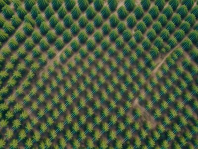 Ilustração de projetos sustentáveis, mostrando energia renovável, reciclagem e pessoas colaborando em um ambiente ecológico e socialmente responsável.