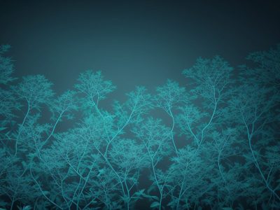 Imagem de campanha de publicidade online no serviço público, com foco em marketing digital e anúncios para servidores públicos