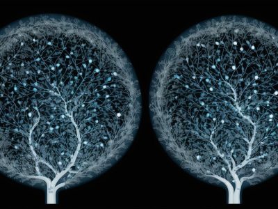 Representação visual do estudo da sociologia geral, com foco nas dinâmicas sociais e seus benefícios, ideal para quem busca entender a sociedade e suas aplicações.