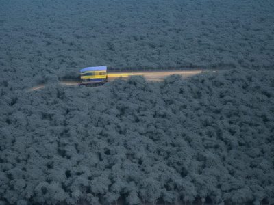 Ilustração de um cérebro com pensamentos e símbolos de compulsão, representando o TOC.