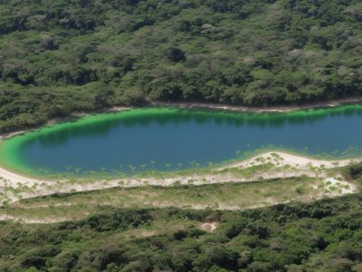 Ambiente saudável e métodos sustentáveis para controle integrado de pragas